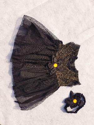 Picture of little  Girls  cotton Dress and pant set for 0-7