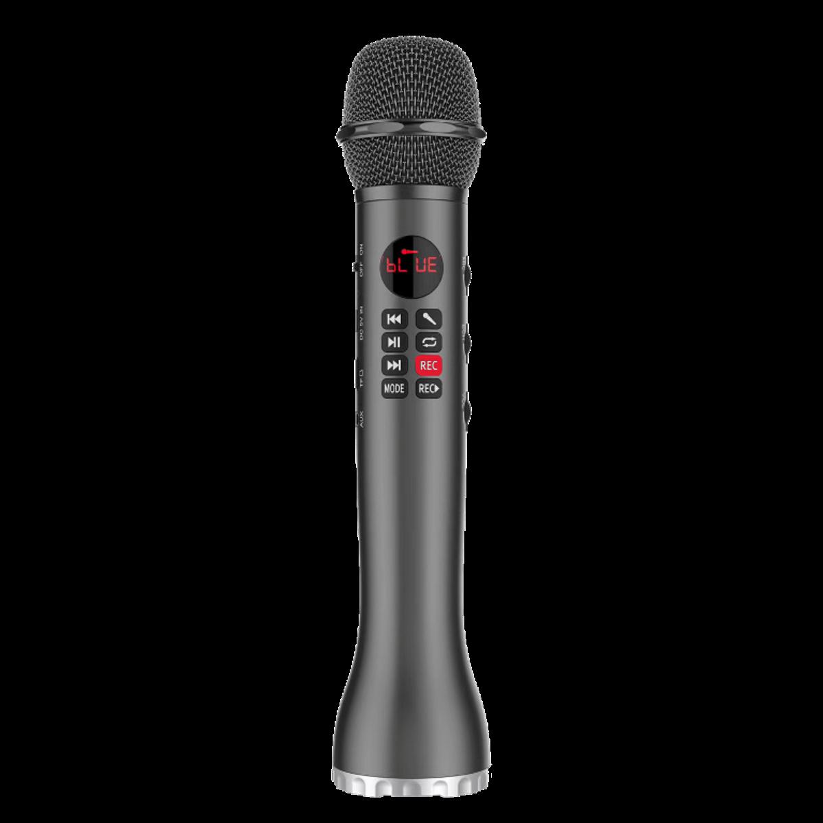 Picture of L-598 Professional Best Wireless Microphone for Karaoke
