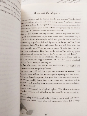Picture of The Book of Rumi: 105 Stories and Fables that Illumine, Delight, and Inform (Paperback)