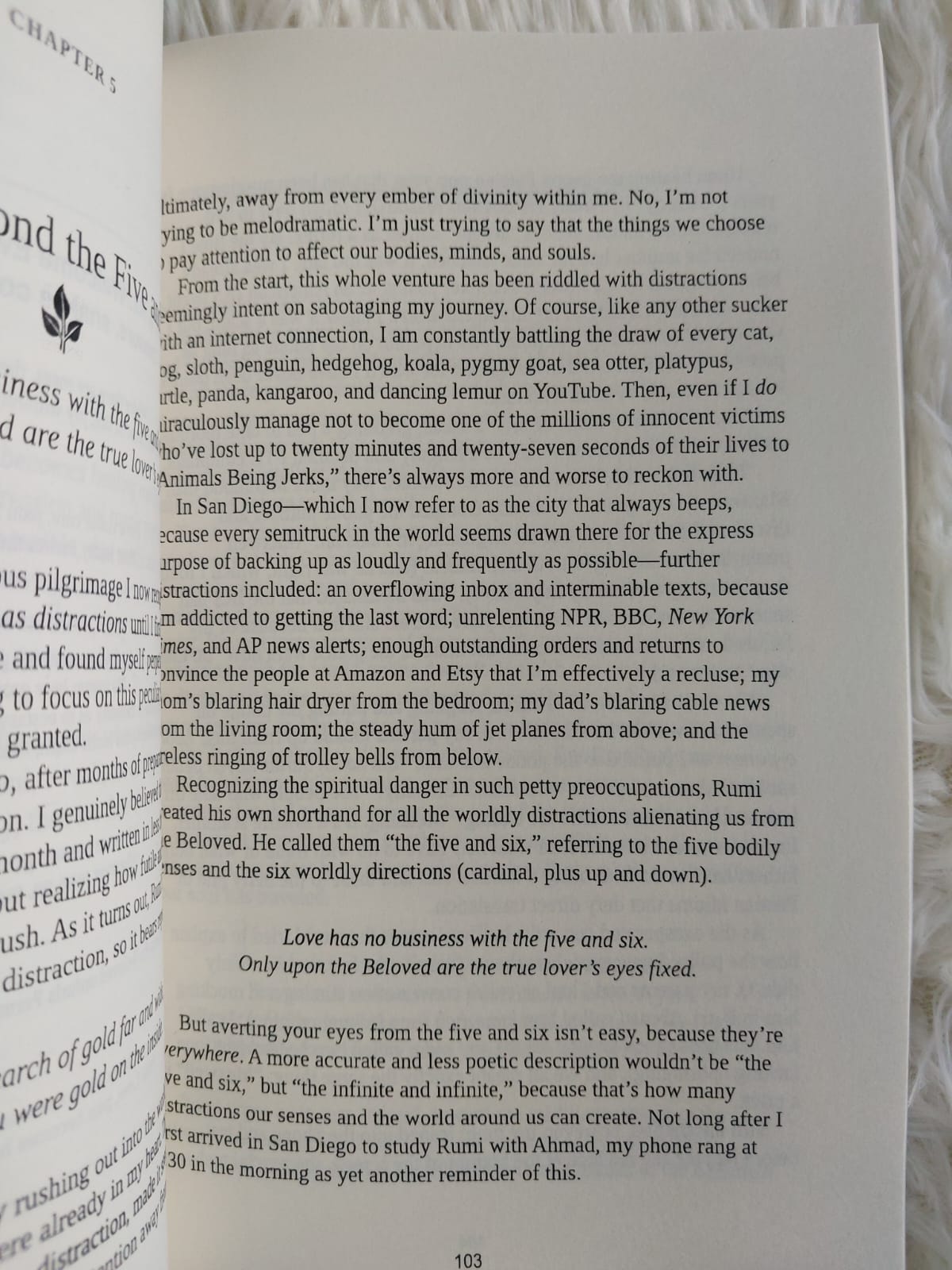 Picture of The Rumi Prescription: How an Ancient Mystic Poet Changed My Modern Manic Life by Melody Moezzi (Premium Quality - Paperback)