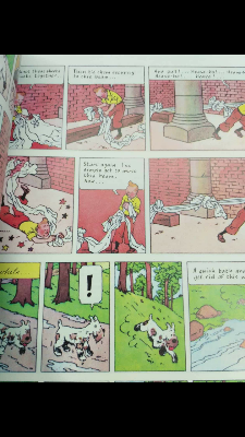 Picture of The Adventures of Tintin by Herge (25 Books Set) English- Color -Paperback