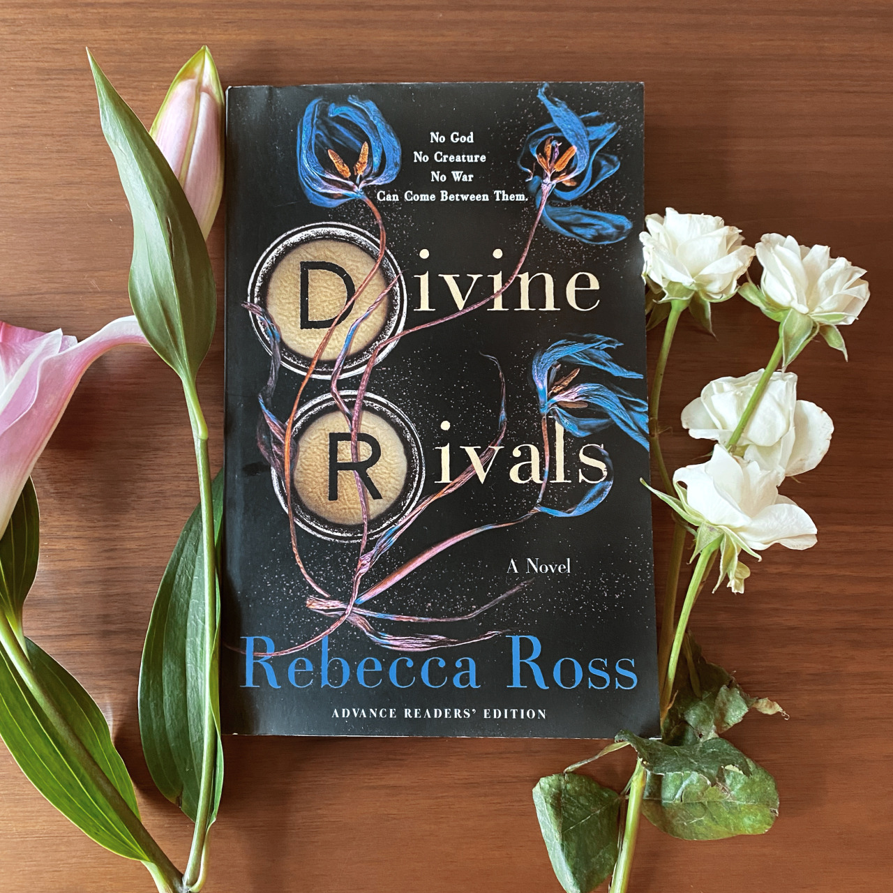 Picture of Divine Rivals: A Novel (Letters of Enchantment, 1) by Rebecca Ross - Paperback
