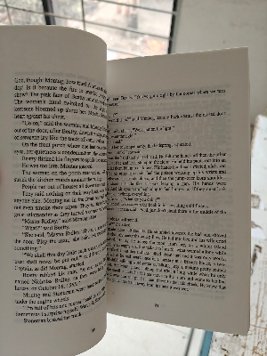 Picture of Fahrenheit 451 Novel by Ray Bradbury (Premium Quality Paperback)