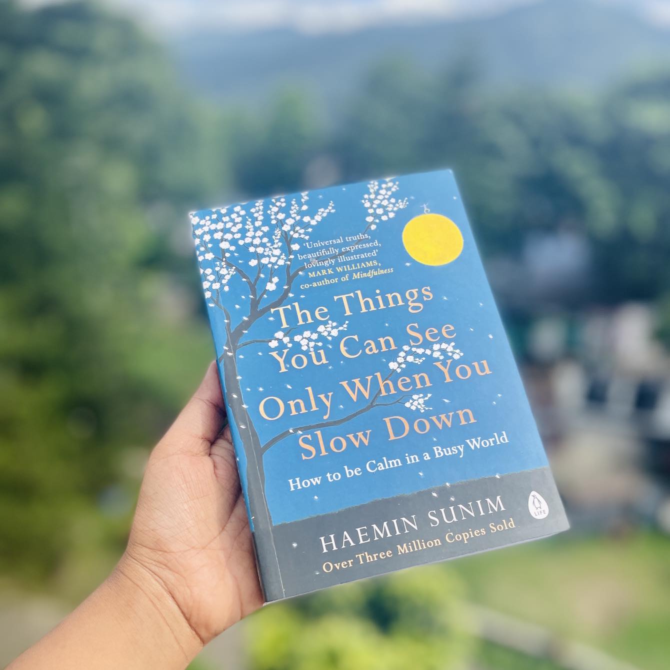Picture of The Things You Can See Only When You Slow Down  by Haemin Sunim (Paperback)