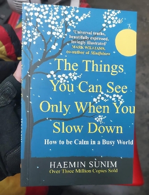 Picture of The Things You Can See Only When You Slow Down  by Haemin Sunim (Paperback)