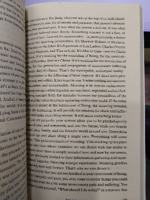 Picture of 12 Rules for Life: An Antidote to Chaos by Jordan Peterson (Yellowish Paperback)