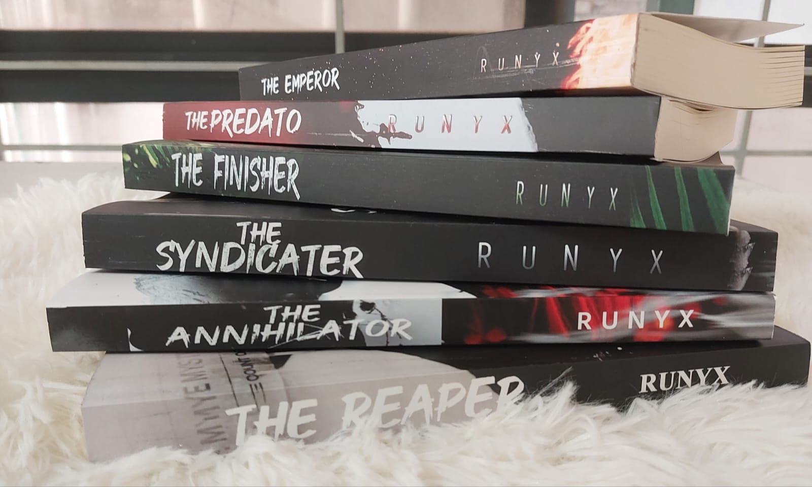Picture of Dark Verse (6 book Combo) by RuNyx