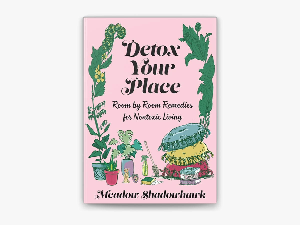 Picture of Detox Your Place: Room by Room Remedies for Nontoxic Living Book by Meadow Shadowhawk (Premium Paperback)