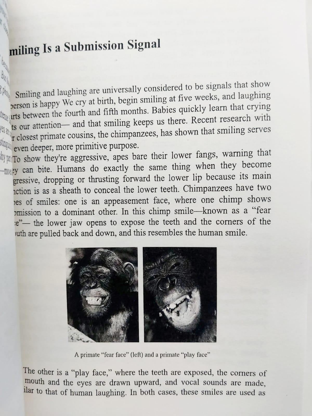 Picture of The Definitive Book of Body Language Book by Barbara Pease (Premium - Paperback)