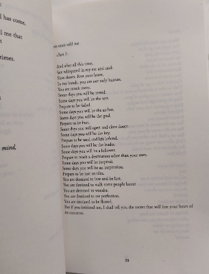 Picture of The Nectar of Pain Book by Najwa Zebian (Premium Quality - Paperback)