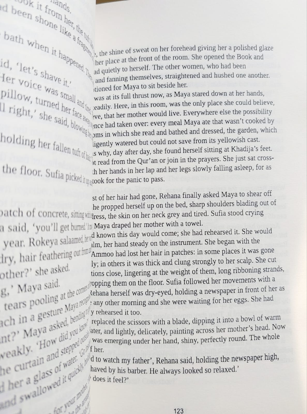Picture of The Good Muslim (Bangla Desh, #2) by Tahmima Anam