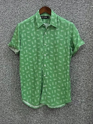 Picture of Hawaii Half Print 01