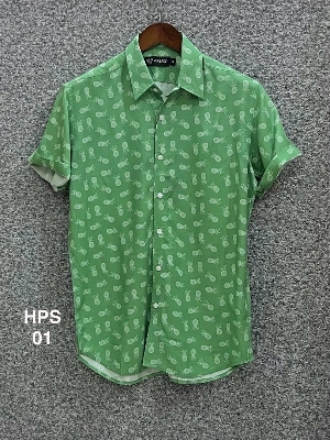 Picture of Hawaii Half Print 01