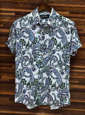 Picture of Hawaii Half Print 132