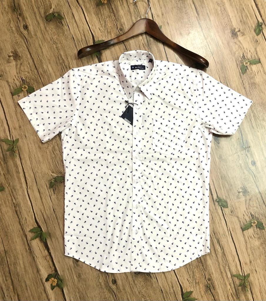 Picture of Hawaii Half Print 175
