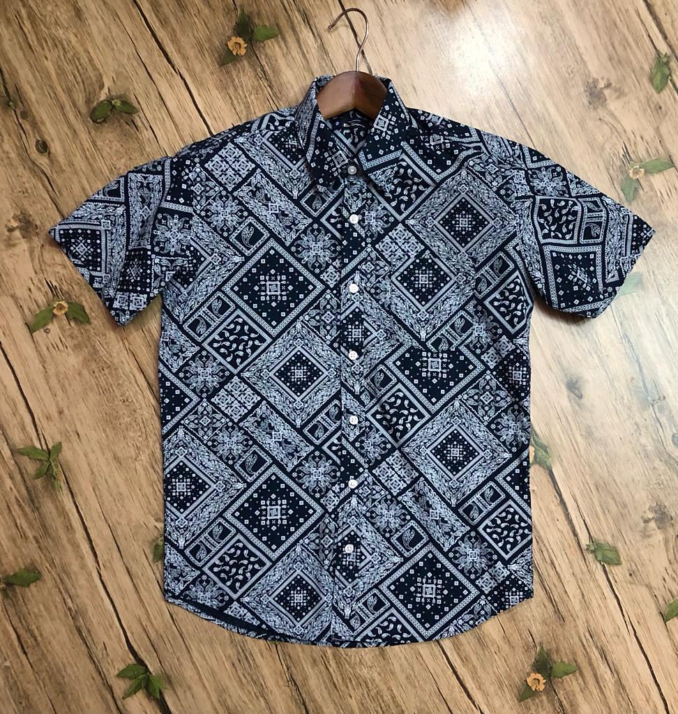 Picture of Hawaii Half Print 178