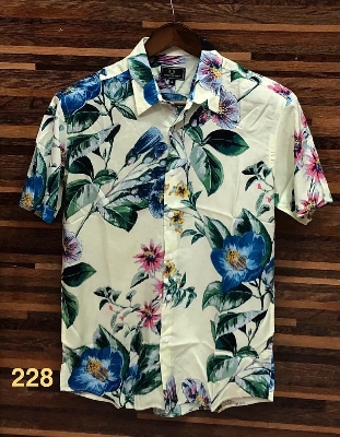 Picture of Hawaii Half Print 228