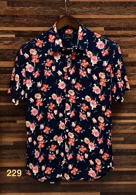 Picture of Hawaii Half Print 229