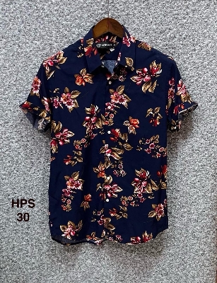 Picture of Hawaii Half Print 30