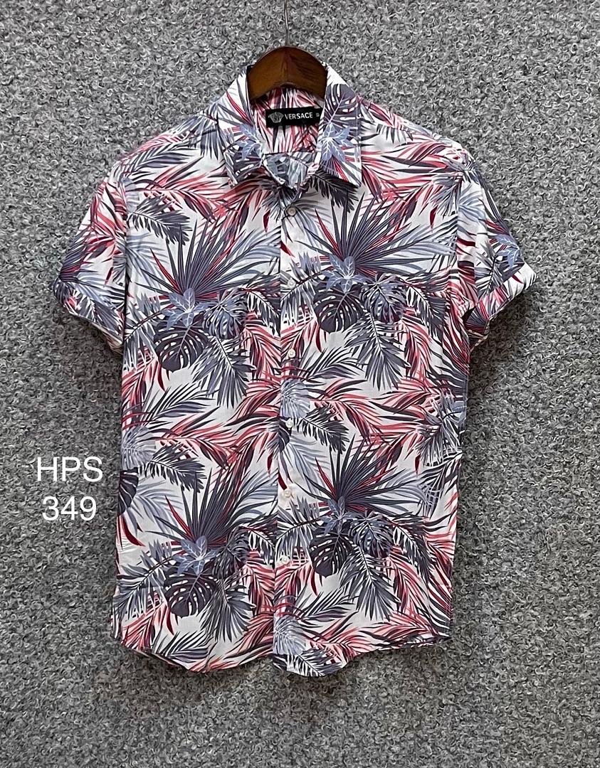 Picture of Hawaii Half Print 349