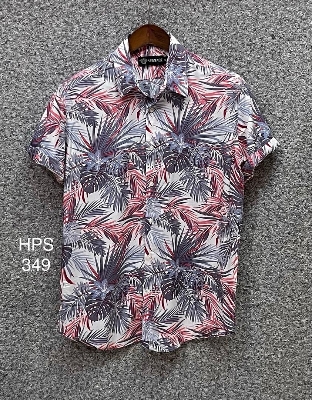 Picture of Hawaii Half Print 349