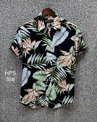 Picture of Hawaii Half Print 358