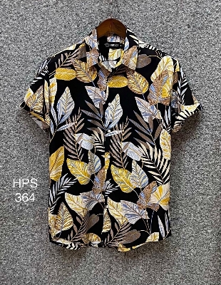Picture of Hawaii Half Print 364
