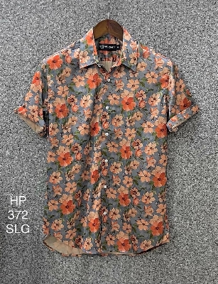 Picture of Hawaii Half Print 372