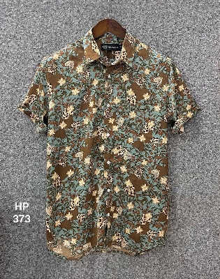 Picture of Hawaii Half Print 373