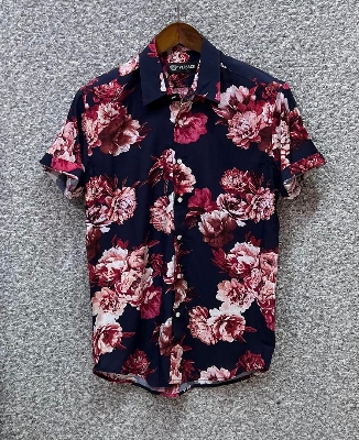 Picture of Hawaii Half Print 38