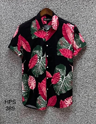 Picture of Hawaii Half Print 389