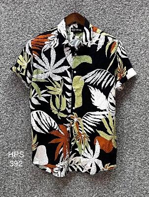 Picture of Hawaii Half Print 392