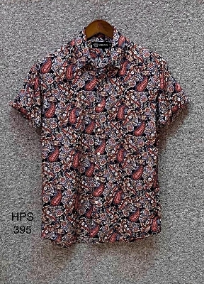 Picture of Hawaii Half Print 395