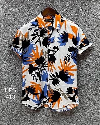 Picture of Hawaii Half Print 413