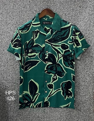 Picture of Hawaii Half Print 426