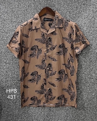 Picture of Hawaii Half Print 431
