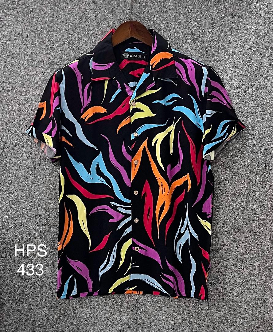 Picture of Hawaii Half Print 433