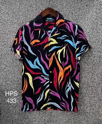 Picture of Hawaii Half Print 433