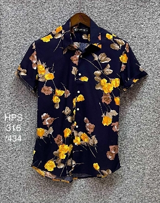 Picture of Hawaii Half Print 434