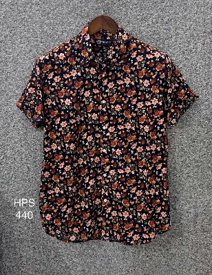 Picture of Hawaii Half Print 440