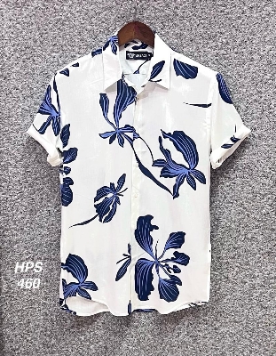 Picture of Hawaii Half Print 460
