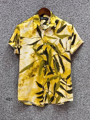 Picture of Hawaii Half Print 461