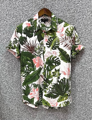 Picture of Hawaii Half Print 61