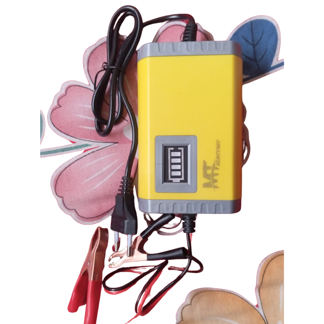 Picture of 12V-5A,Battery Charger / Smart Battery Charger