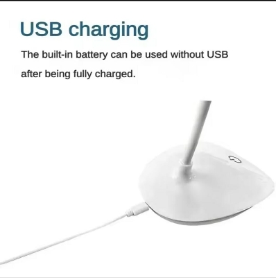 Picture of HomePro LED Desk Lamp, Rechargeable Touch Control With USB Charging Port Table Lamp For Reading, Study Lamp for Kids, Home, Office