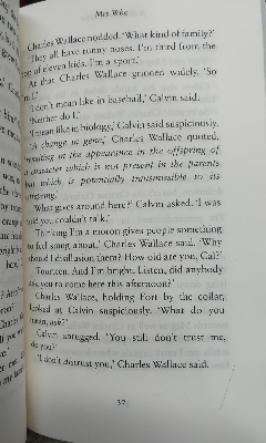 Picture of A Wrinkle in Time Novel by Madeleine L'Engle (Paperback)