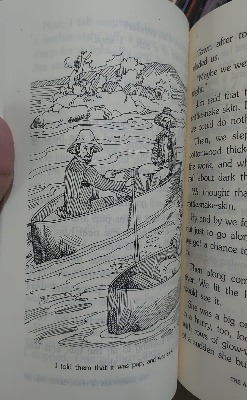 Picture of Adventures of Huckleberry Finn Novel by Mark Twain (Paperback)