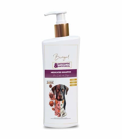 Picture of Bengal Antiseptic & Antifungal Medicated Shampoo For Dogs and Cats With Benzethonium Chloride & Ketoconazole