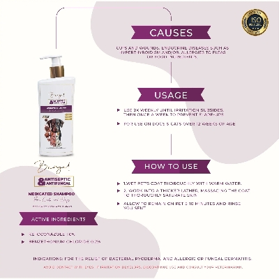 Picture of Bengal Antiseptic & Antifungal Medicated Shampoo For Dogs and Cats With Benzethonium Chloride & Ketoconazole