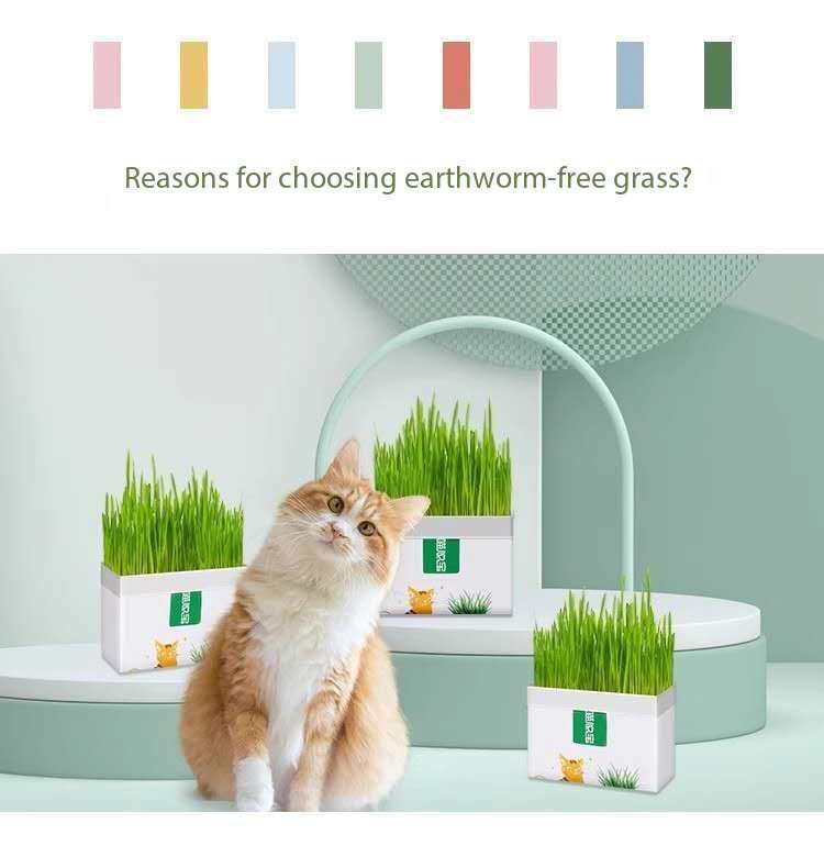 Picture of Cat Grass Magic Bag, Indoor Cat Grass kit (Easy to Operate) Open The Bag and Add Water, Ready to Use in a Week